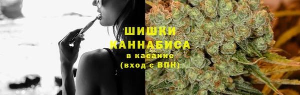 ПСИЛОЦИБИНОВЫЕ ГРИБЫ Волосово