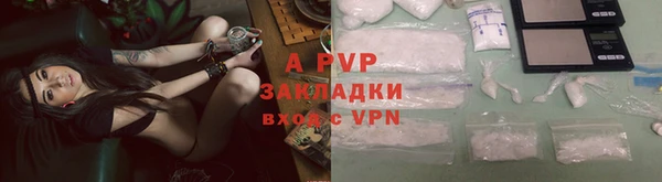 ПСИЛОЦИБИНОВЫЕ ГРИБЫ Волосово