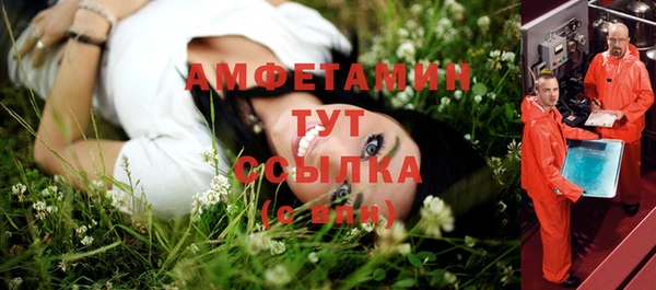 гидропоника Бородино