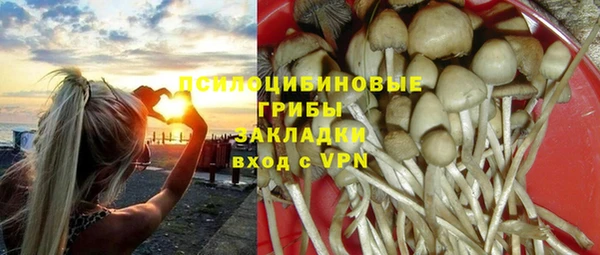 ПСИЛОЦИБИНОВЫЕ ГРИБЫ Волосово