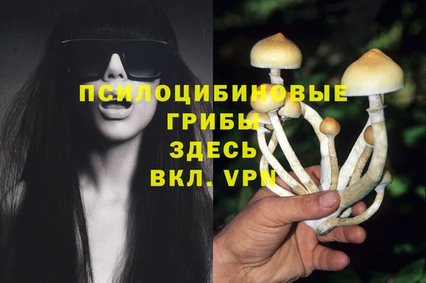 сатива Бугульма