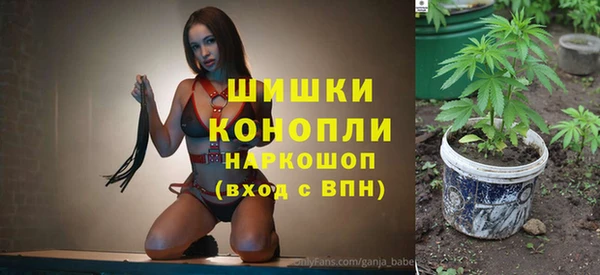 ПСИЛОЦИБИНОВЫЕ ГРИБЫ Волосово