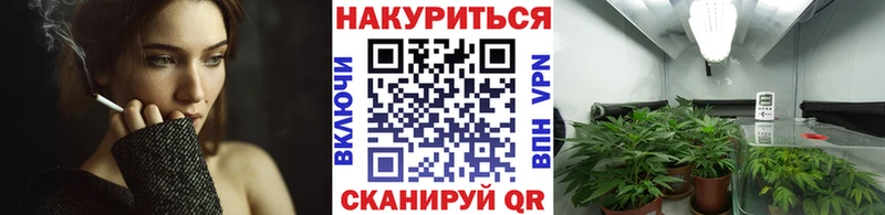 Бошки марихуана тримм Калачинск